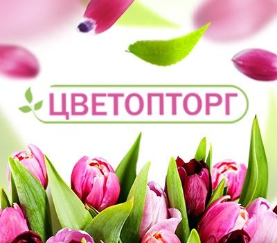 Цветопторг